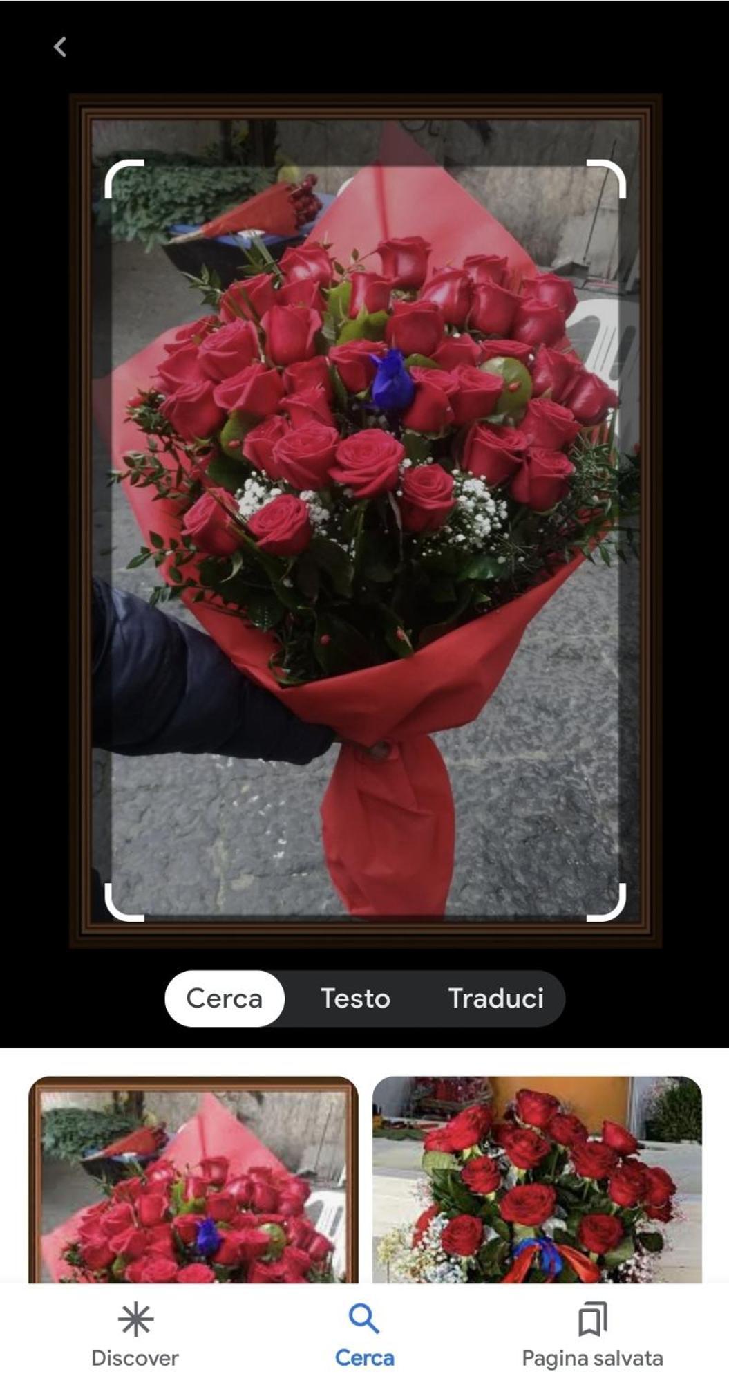 Le Rose * Genoa